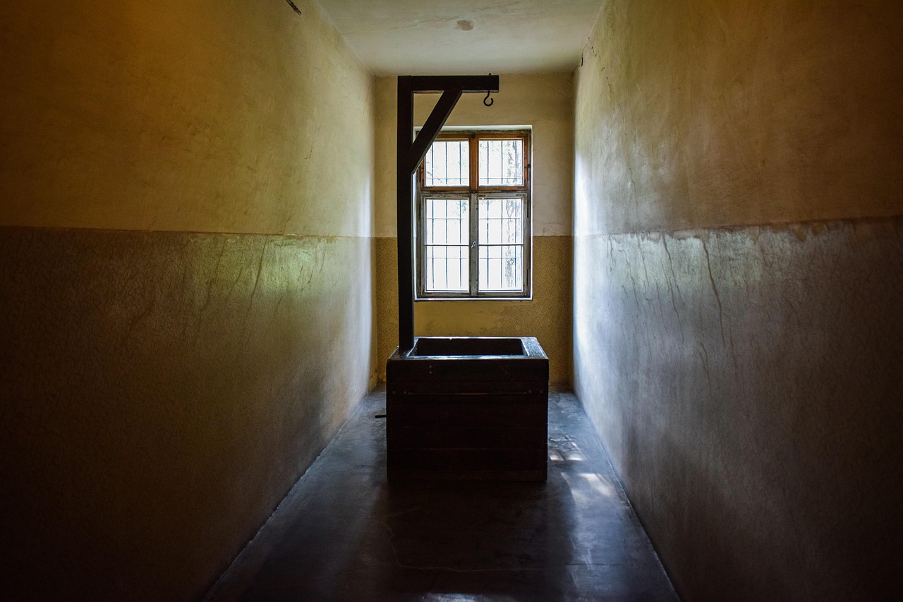 意昂娱乐，注册|wg购买平台