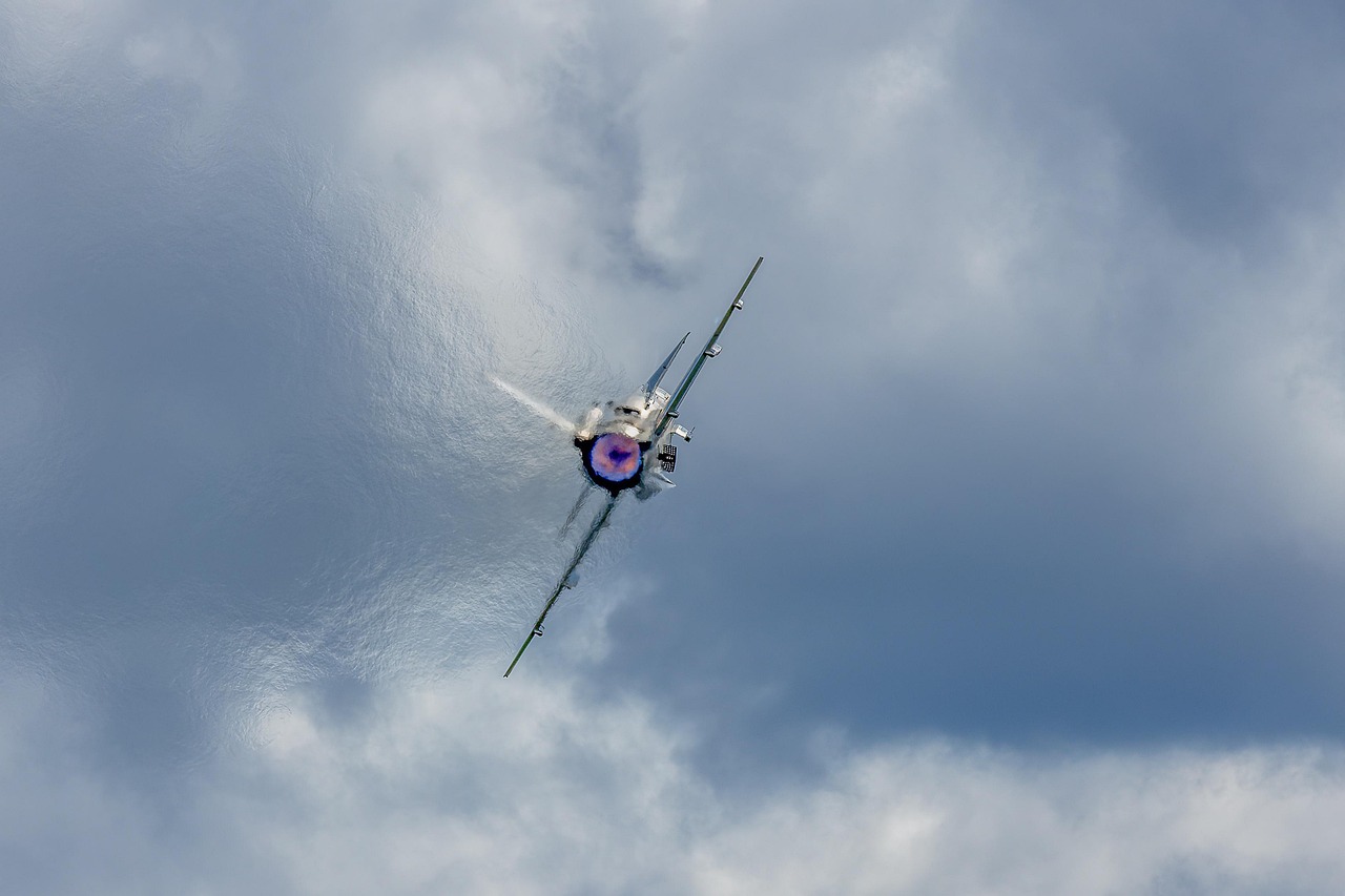 小小蚁国：玩go app详情下载教程